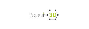 Repair 3D Logo